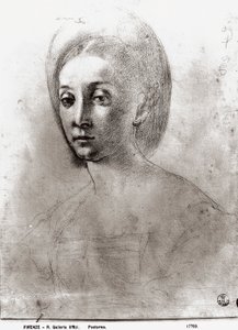 Bir Kadının Başı (kağıt üzerinde tebeşir) by Jacopo Pontormo