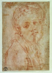 Otoportre (kağıt üzerinde kırmızı tebeşir) by Jacopo Pontormo
