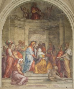Ziyaret by Jacopo Pontormo