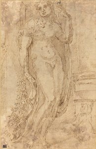 Bir Kedi ve Domuz ile Alegorik Figür by Jacopo di Giovanni