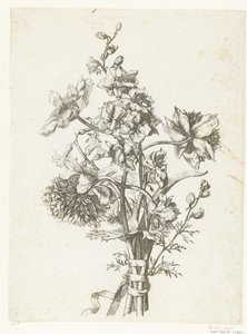 Anemon, sümbül ve delphinium ile buket Çeşitli Fleurs, Boucquets