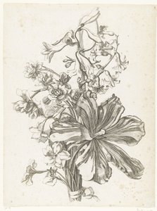 Lale, sümbül, brodiaea ve nergis ile buket Çeşitli Fleurs, Boucquets