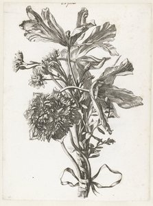 Süresi dolmuş laleler, anemon çiçeği ve ölümsüz buket Çeşitli Fleurs, Boucquets