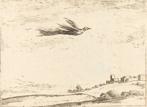 Cennet kuşu by Jacques Callot