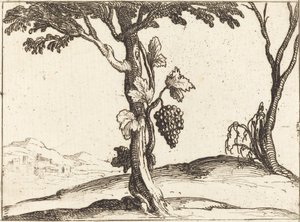 Bir salkım üzüm by Jacques Callot