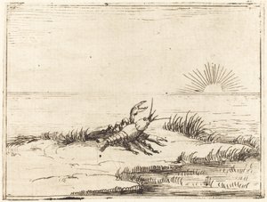 Güneşe Bakarken Kerevit by Jacques Callot
