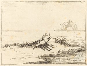 Güneşe Bakarken Kerevit by Jacques Callot