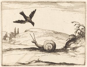 karga ve salyangoz by Jacques Callot