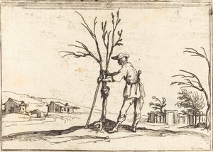 Bir Ağacı Budayan Bahçıvan by Jacques Callot
