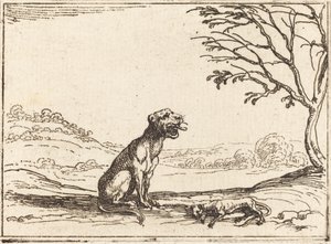 Yavrusunun yasını tutan dişi aslan. by Jacques Callot