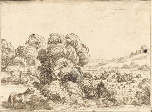 Kuzu Çağıran Koyun by Jacques Callot