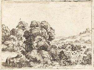 Kuzu Çağıran Koyun by Jacques Callot