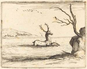 Sudaki Geyik by Jacques Callot