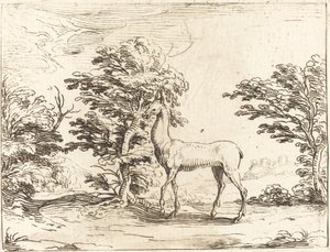 Doe. by Jacques Callot