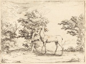 Doe by Jacques Callot