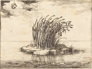 Sazlıklar ve Rüzgar by Jacques Callot