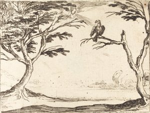 Akbaba by Jacques Callot