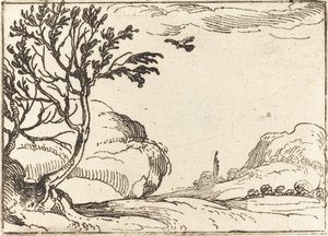 Çölde Uçan Kaplumbağa Güvercin. by Jacques Callot