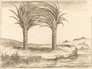 İki Palmiye Ağacı. by Jacques Callot