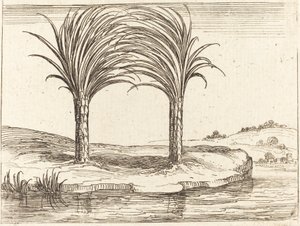 İki Palmiye Ağacı by Jacques Callot