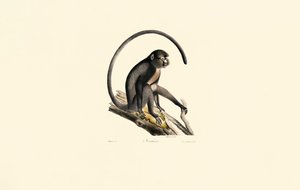  by Jacques Christophe Werner