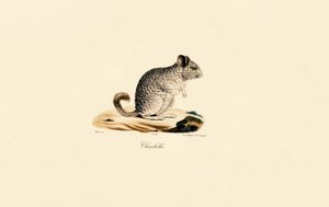  by Jacques Christophe Werner