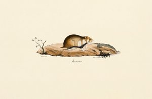  by Jacques Christophe Werner