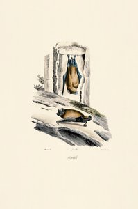  by Jacques Christophe Werner