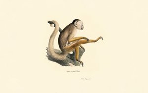  by Jacques Christophe Werner