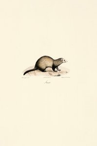  by Jacques Christophe Werner