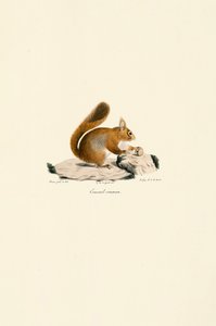  by Jacques Christophe Werner