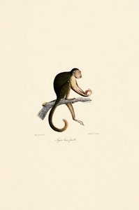  by Jacques Christophe Werner