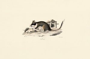  by Jacques Christophe Werner