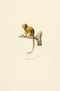  by Jacques Christophe Werner