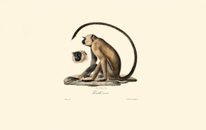  by Jacques Christophe Werner