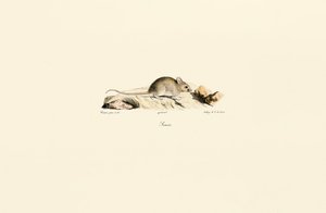  by Jacques Christophe Werner