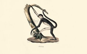  by Jacques Christophe Werner