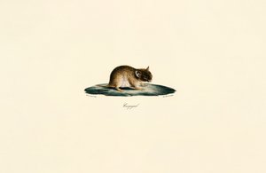  by Jacques Christophe Werner