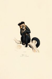  by Jacques Christophe Werner