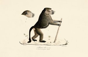  by Jacques Christophe Werner