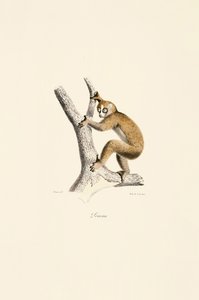 by Jacques Christophe Werner