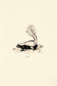  by Jacques Christophe Werner