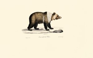  by Jacques Christophe Werner
