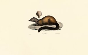  by Jacques Christophe Werner