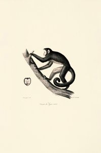 by Jacques Christophe Werner