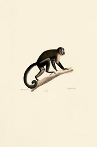  by Jacques Christophe Werner