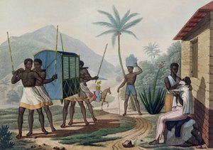 Ile de France'da Taşınan Palanquin, Choubard tarafından kazınmış 'Voyage Autour du Monde sur les Corvettes de L'Uranie 1817-20'den, 1825 yayınlandı