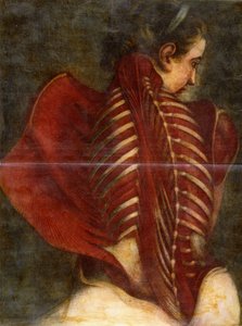 Flayed Angel, c.1745