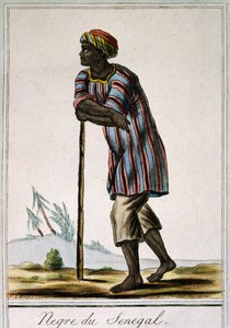 Senega Negro, Encyclopedia des Voyages