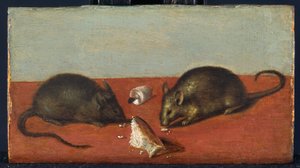  by Jacques II de Gheyn